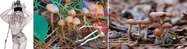 бутират Касимов