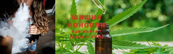 дурь Карпинск