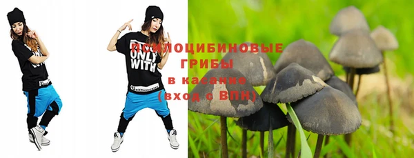 дурь Карпинск